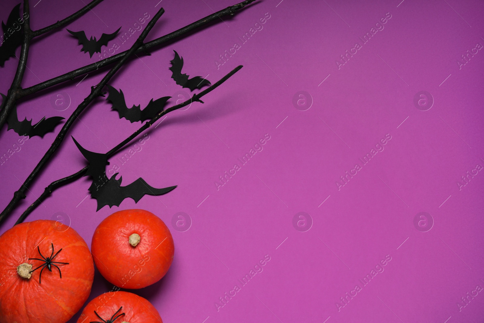 Photo of Flat lay composition with black branches, paper bats and pumpkins on purple background, space for text. Halloween celebration