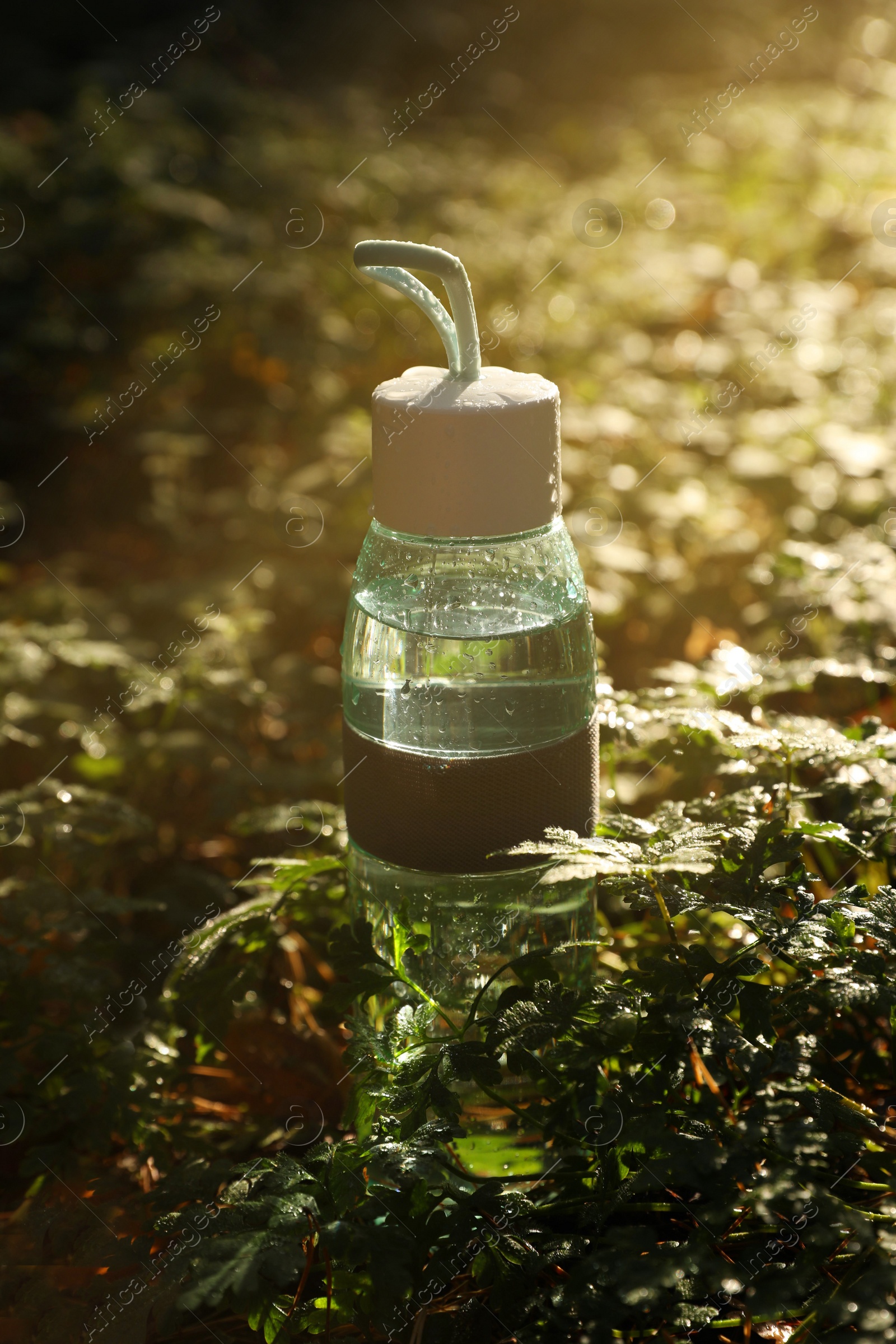 Photo of Glass bottle of water in green grass on sunny day