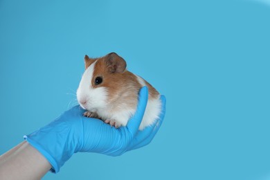 Photo of Scientist holding guinea pig on light blue background, closeup. Animal testing concept