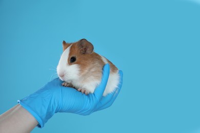 Scientist holding guinea pig on light blue background, closeup. Animal testing concept