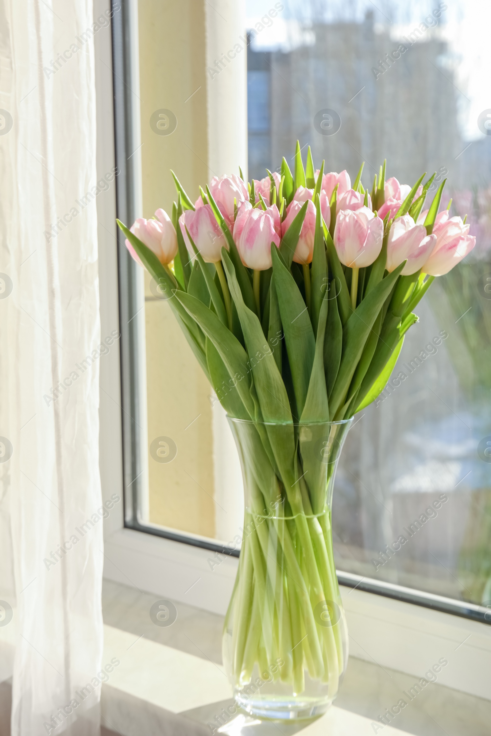 Photo of Spring is coming. Bouquet of beautiful tulip flowers in glass vase on windowsill indoors