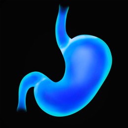 Illustration of  stomach on black background. Gastroenterology