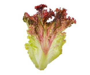 Photo of Leaf of fresh red coral lettuce isolated on white