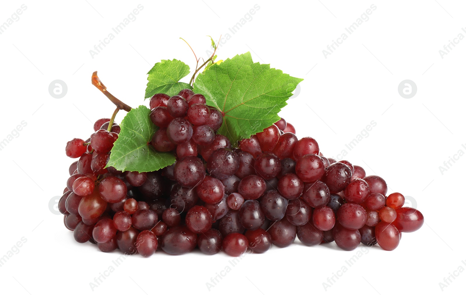 Photo of Bunch of fresh ripe juicy red grapes with leaves isolated on white