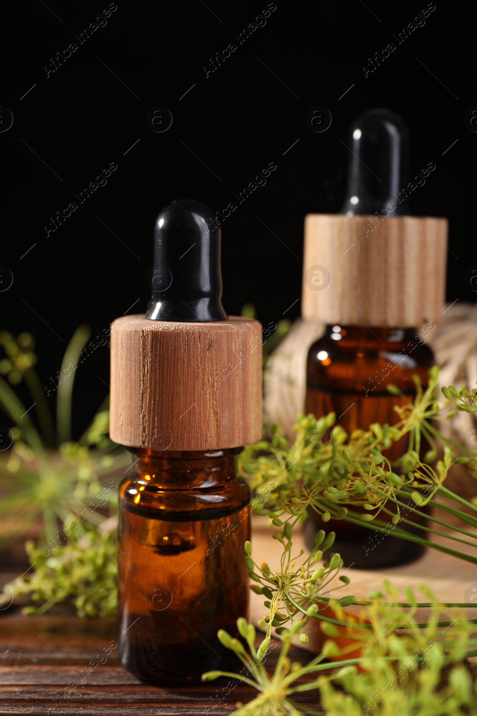 Photo of Bottle of essential oil and fresh dill on wooden table, closeup