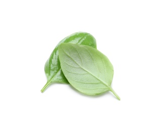 Photo of Fresh green basil leaves on white background