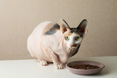 Beautiful Sphynx cat near plate with kibble on white table against beige background