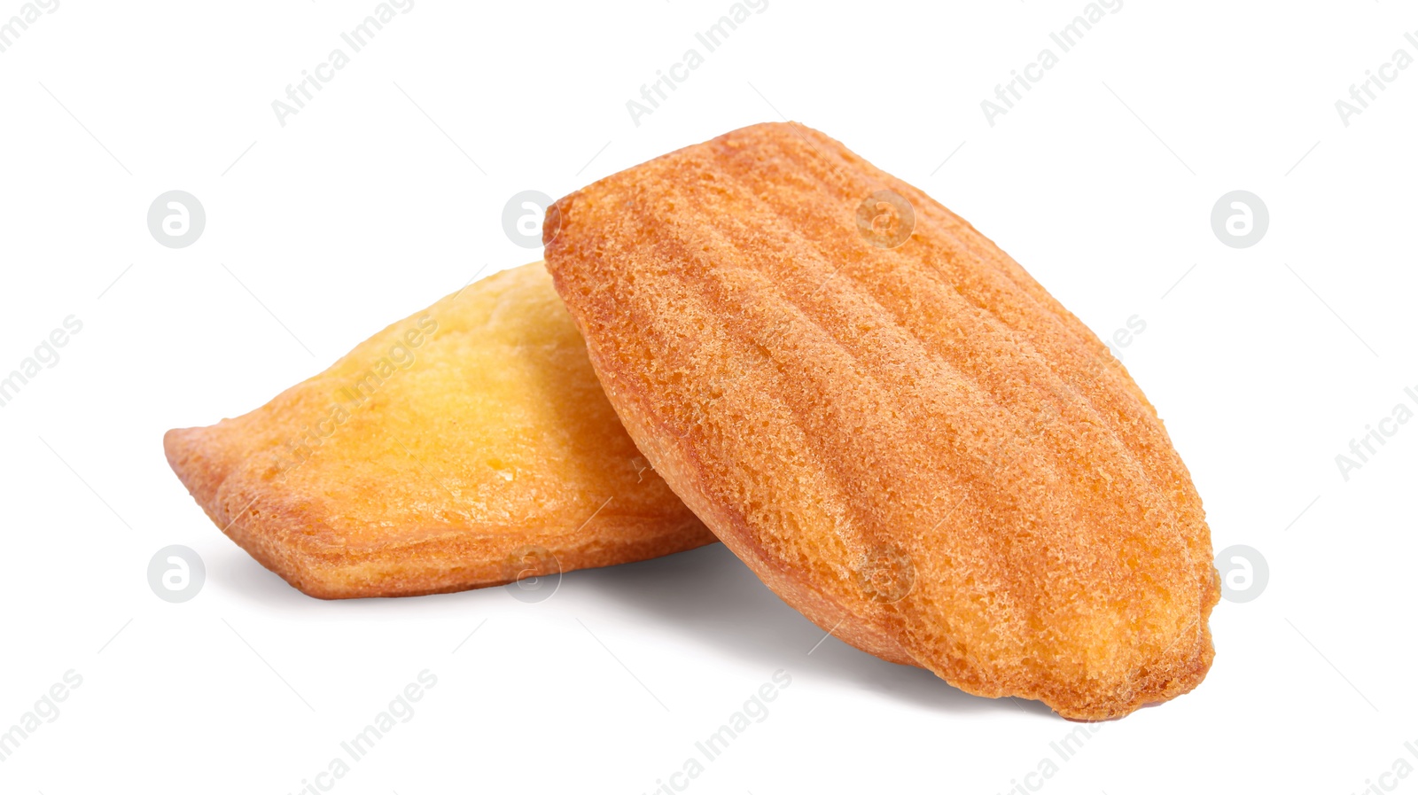 Photo of Delicious homemade madeleine cakes on white background