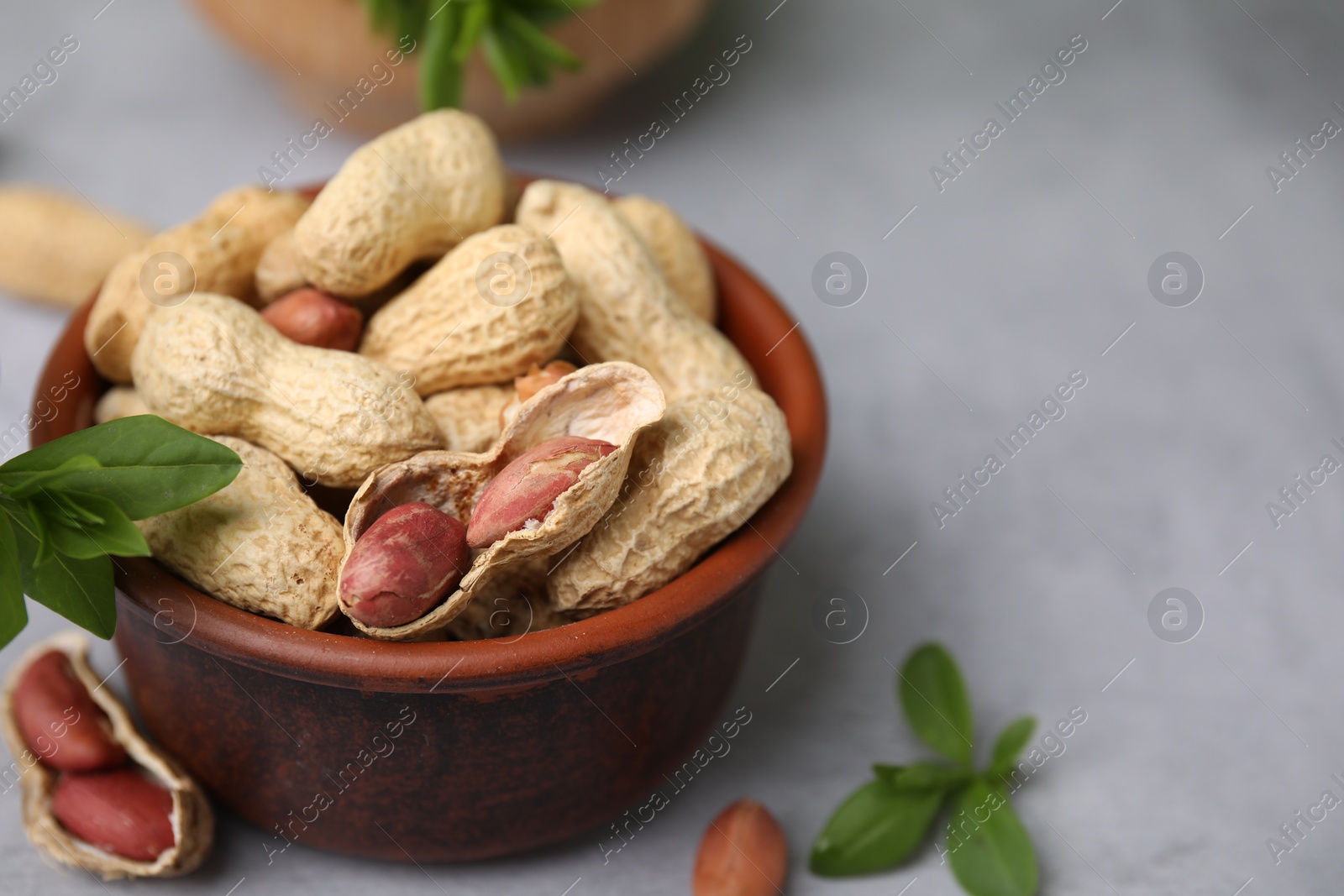 Photo of Fresh unpeeled peanuts in bowl and leaves on grey table, closeup. Space for text