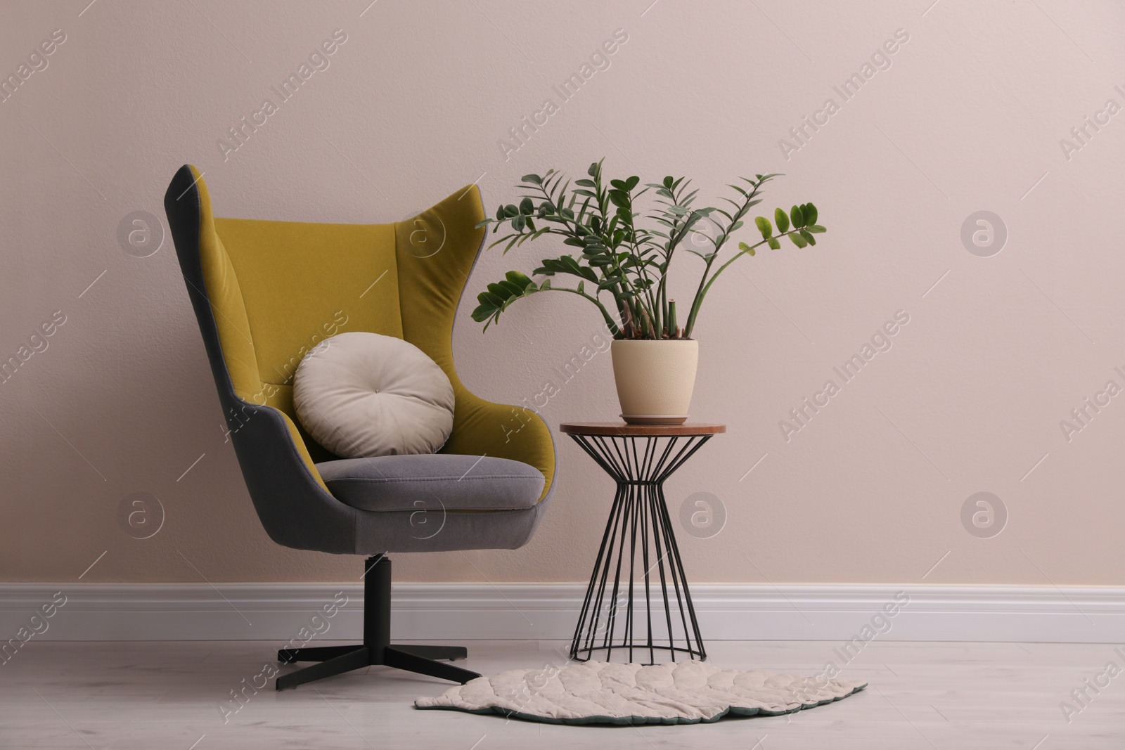 Photo of Comfortable armchair and beautiful plant near light wall indoors