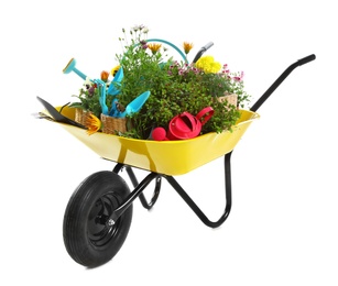 Photo of Wheelbarrow with flowers and gardening tools isolated on white