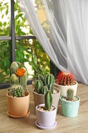 Beautiful cacti on wooden window sill indoors