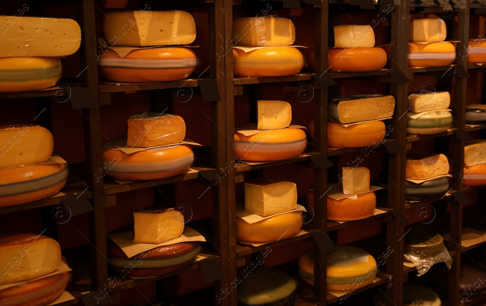 Photo of Different types of delicious cheeses and alcohol drinks on rack in store