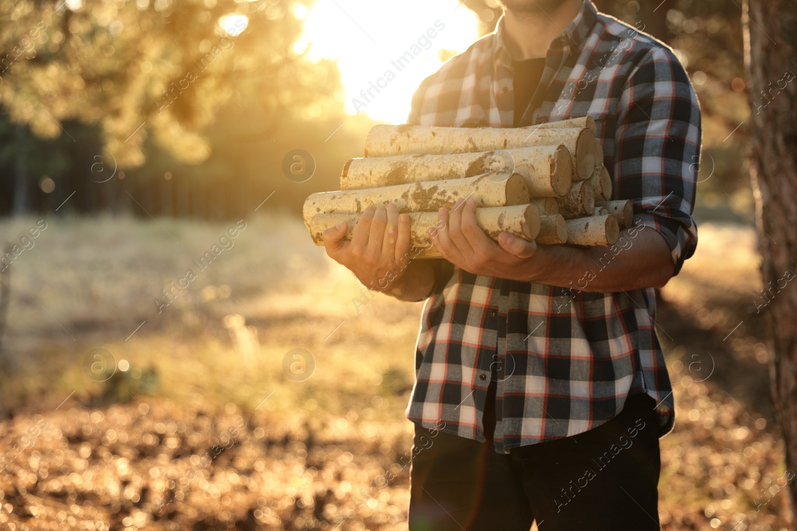 Photo of Man holding pile of cut firewood in forest, closeup