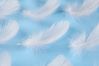 Photo of Fluffy white feathers on light blue background, closeup