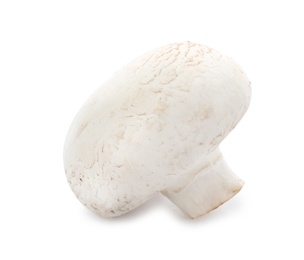 Photo of Fresh raw champignon mushroom on white background