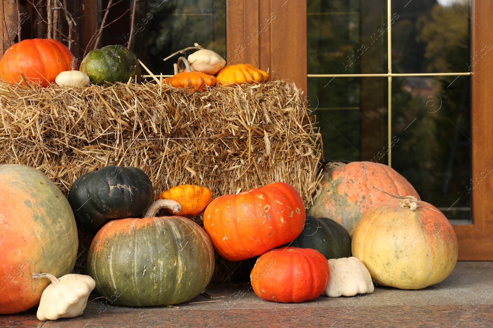 Photo of Fresh orange pumpkins and dry hay near shop