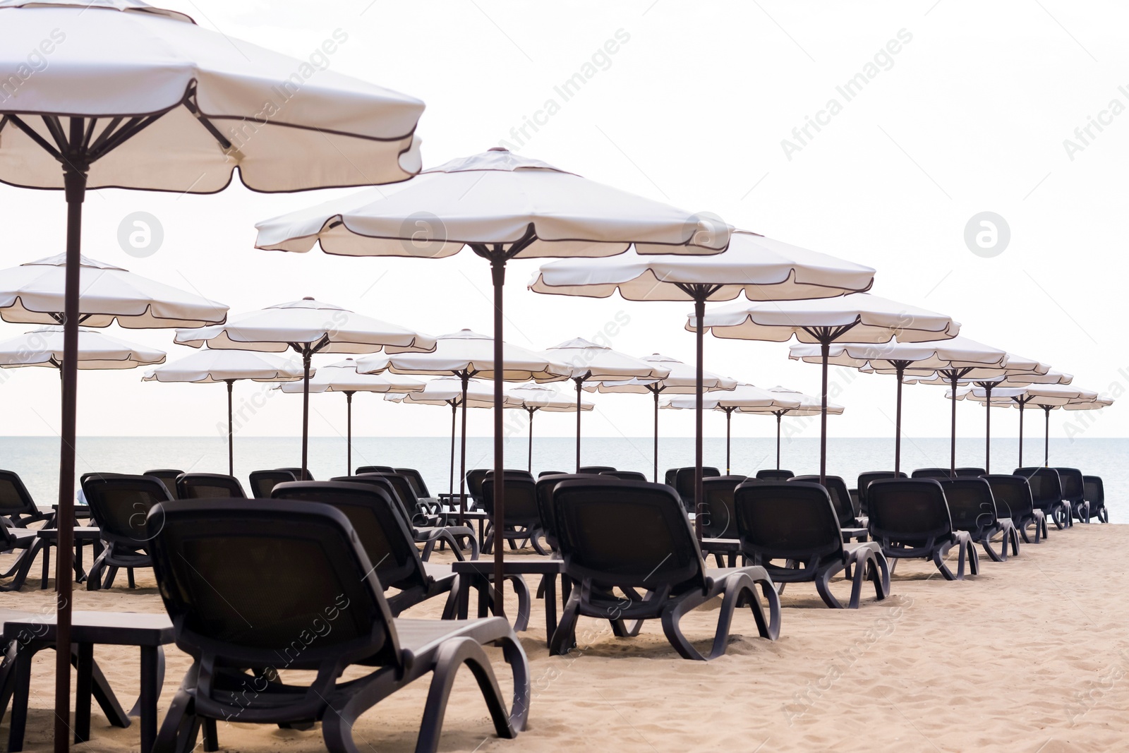 Photo of Many beautiful white umbrellas and black sunbeds on beach