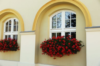 Windows decorated with blooming beautiful flowers outdoors