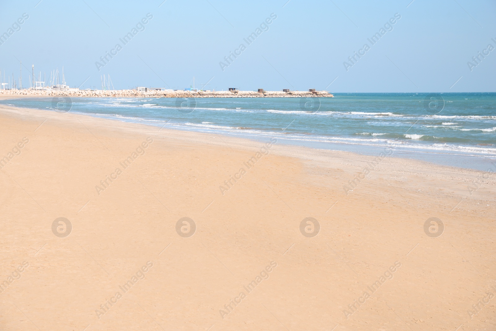 Photo of Woman walking her dog on sea beach