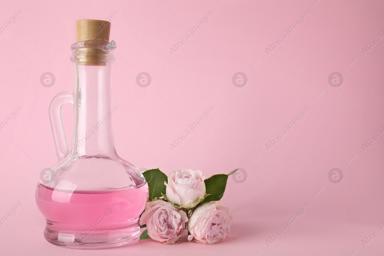 Photo of Bottle of essential oil and roses on pink background. Space for text