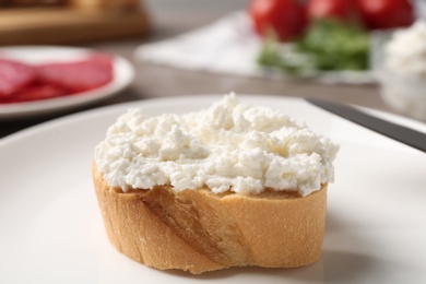 Delicious bruschetta with cheese in plate, closeup