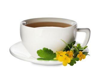 Photo of Cup of aromatic celandine tea and flowers on white background