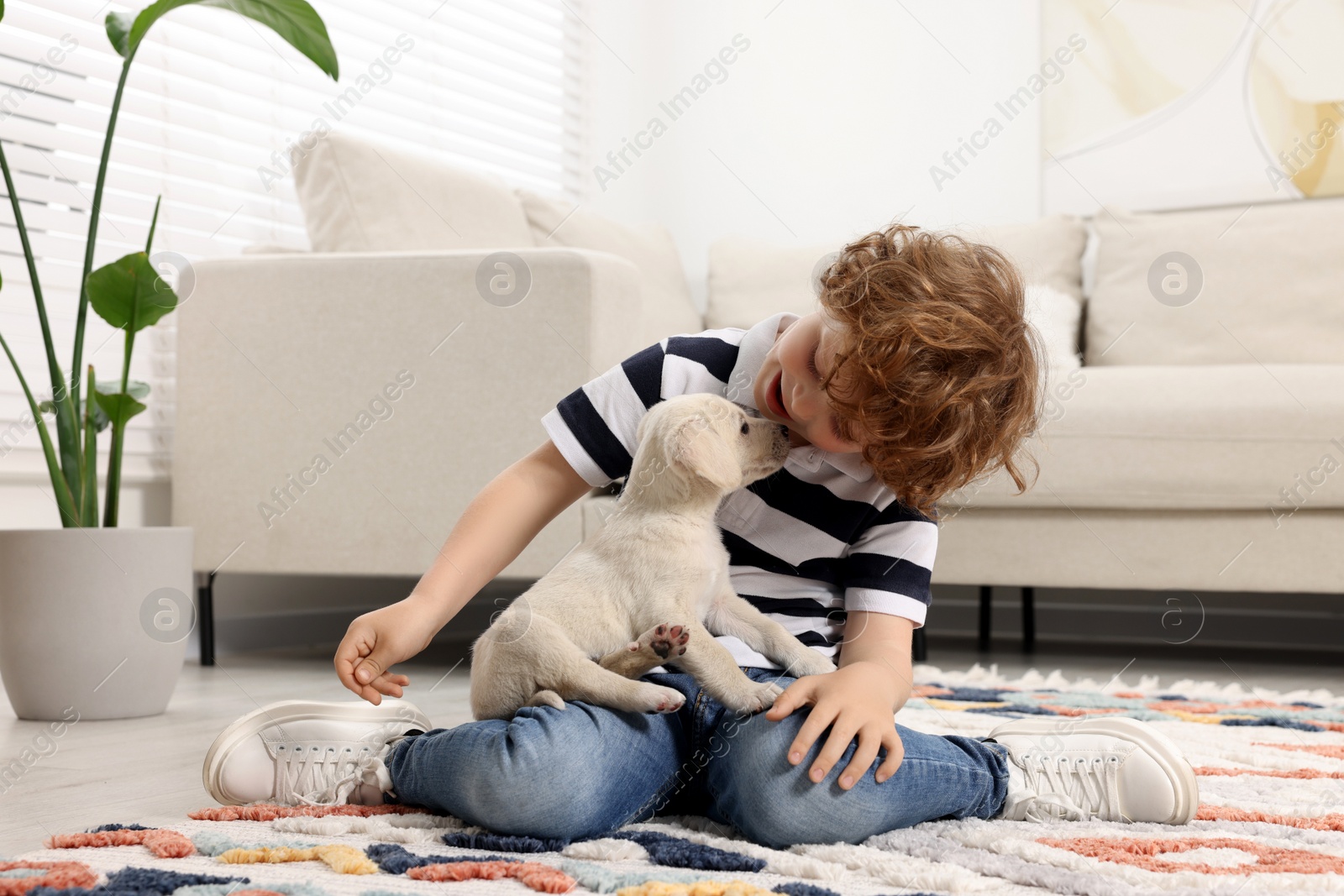 Photo of Little boy with cute puppy on carpet at home