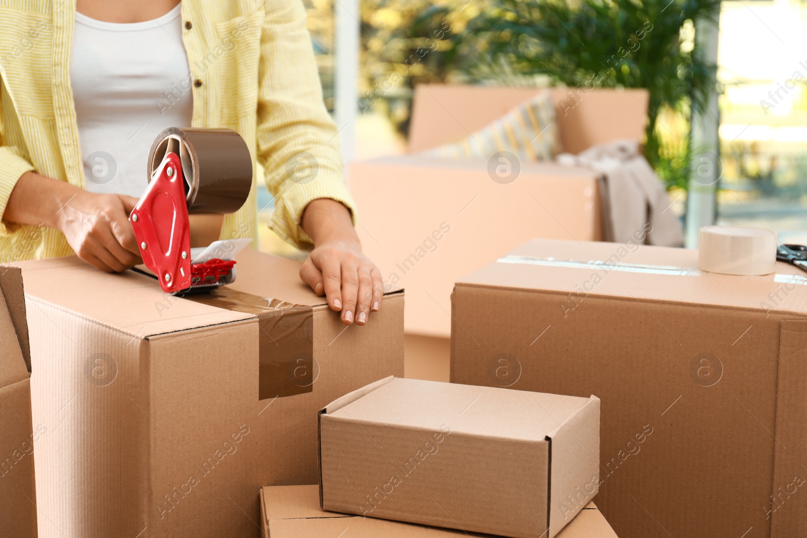 Photo of Woman packing box indoors, closeup. Moving day