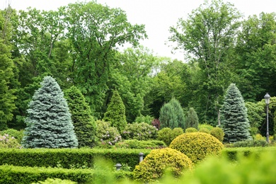 View of beautiful garden with different plants