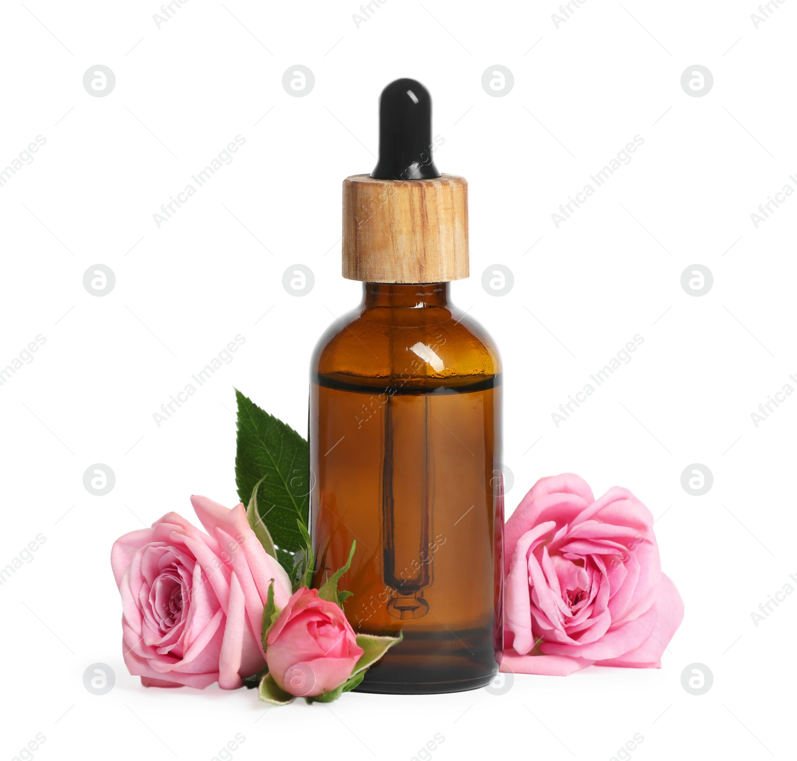 Photo of Bottle of essential rose oil and flowers on white background