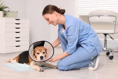 Photo of Veterinarian doc with adorable Beagle dog wearing medical plastic collar in clinic