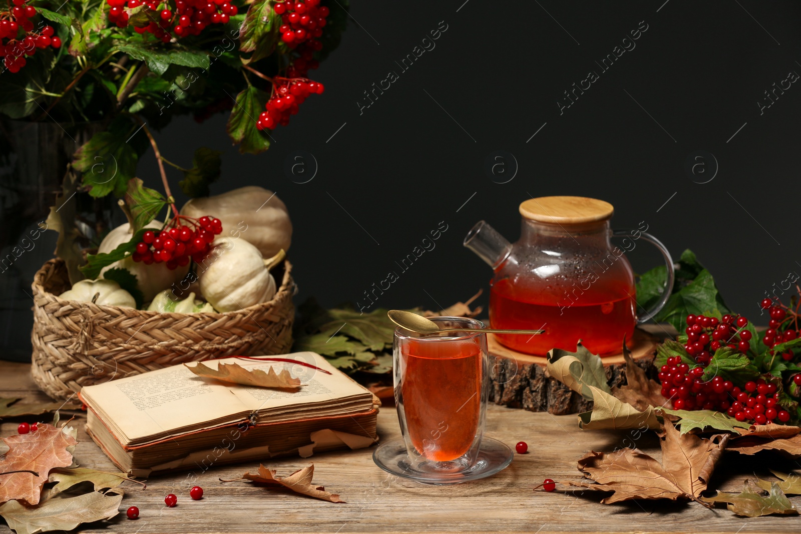 Photo of Delicious viburnum tea, books and pumpkins on wooden table against dark background, space for text. Cozy autumn atmosphere