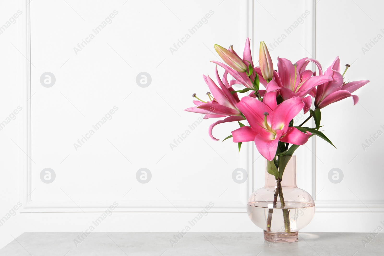 Photo of Beautiful pink lily flowers in vase on light grey table against white wall, space for text