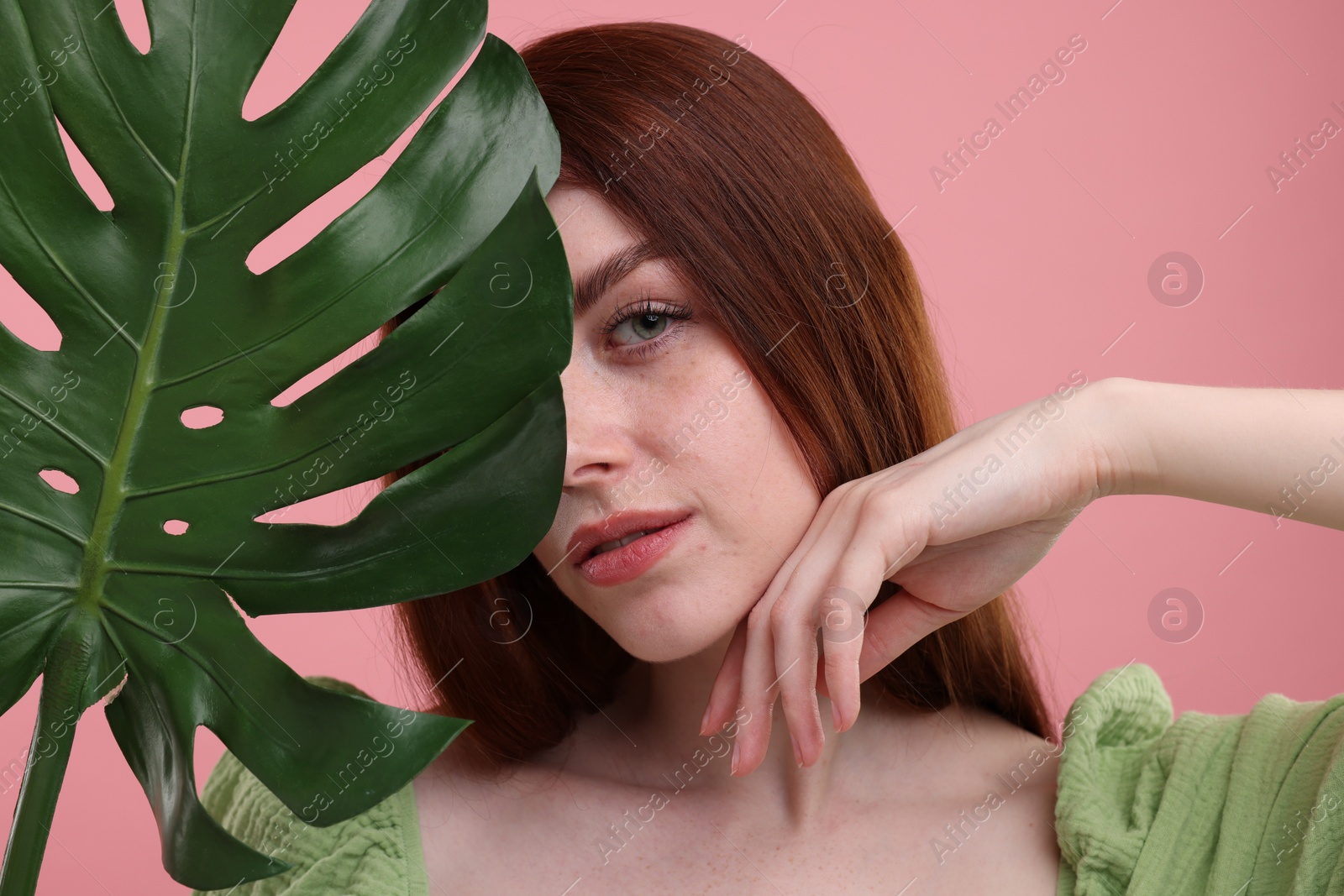 Photo of Portrait of beautiful woman with freckles and monstera leaf on pink background