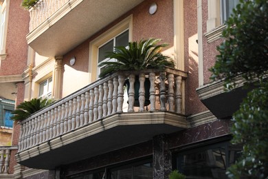 Exterior of beautiful building with balconies and palm tree outdoors, low angle view