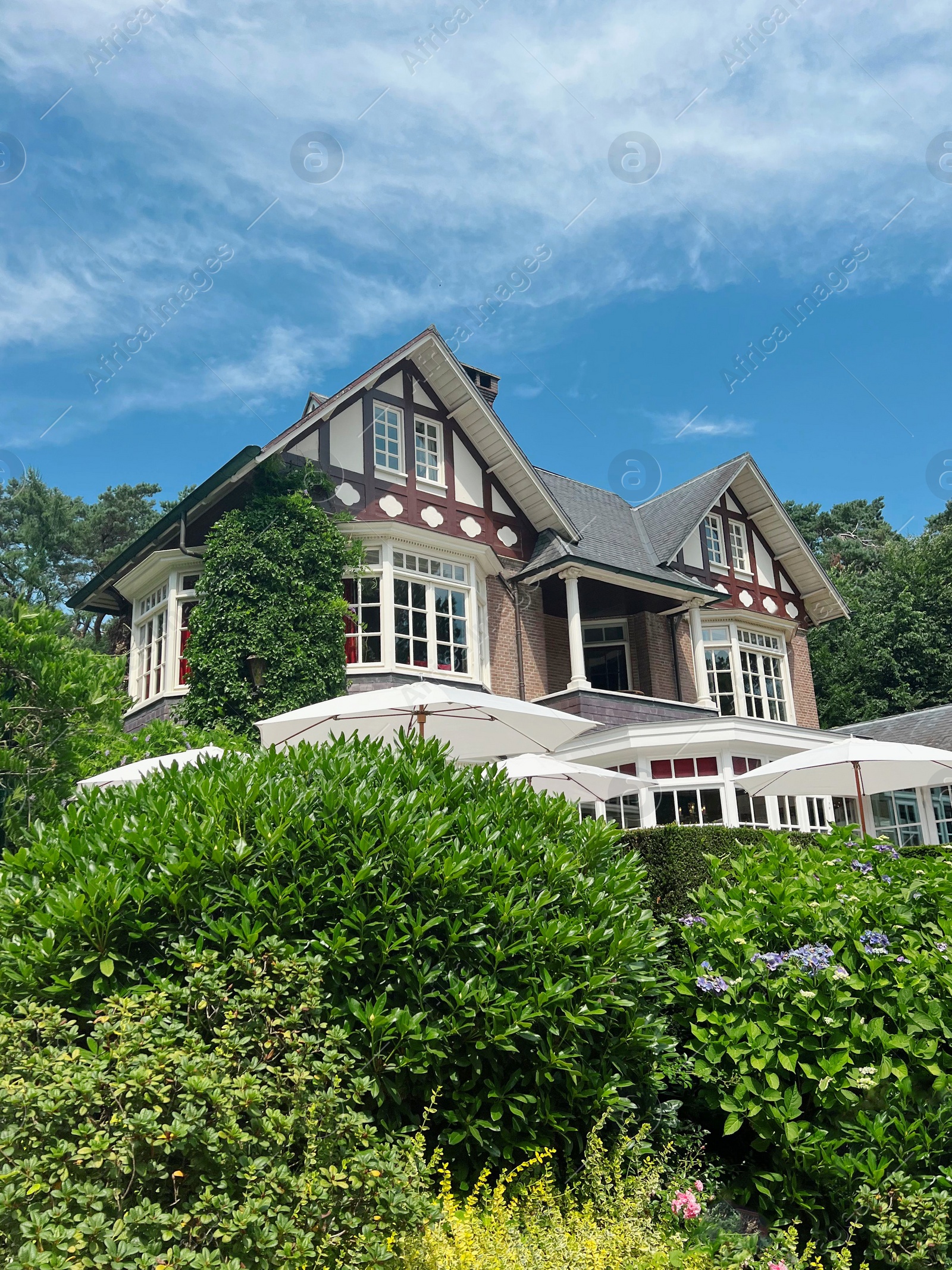 Photo of Picturesque view of beautiful house and plants on sunny day