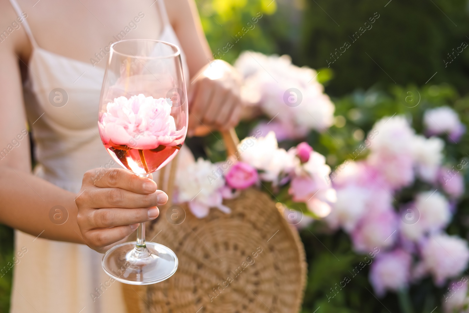 Photo of Woman with glass of rose wine and straw bag in peony garden, closeup