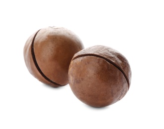Photo of Two organic Macadamia nuts on white background