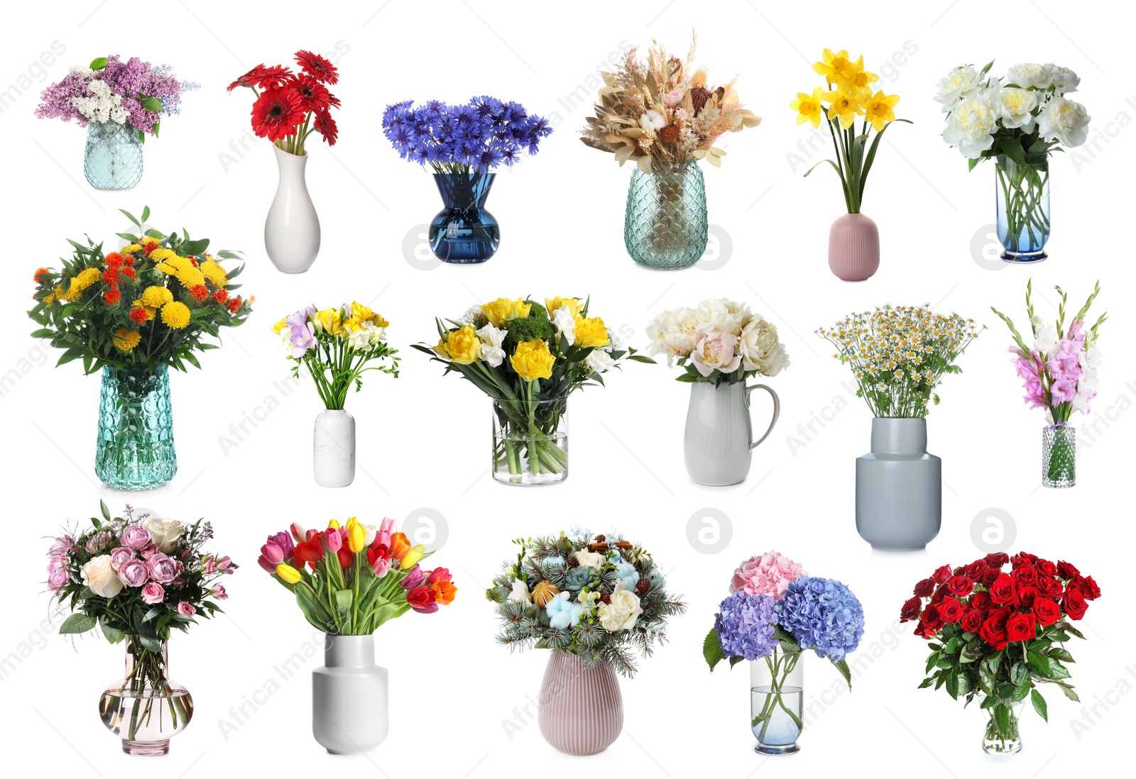 Image of Collage with many beautiful bouquets and flowers in different vases on white background