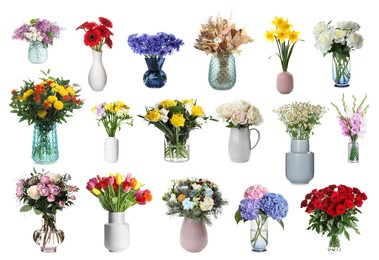 Collage with many beautiful bouquets and flowers in different vases on white background