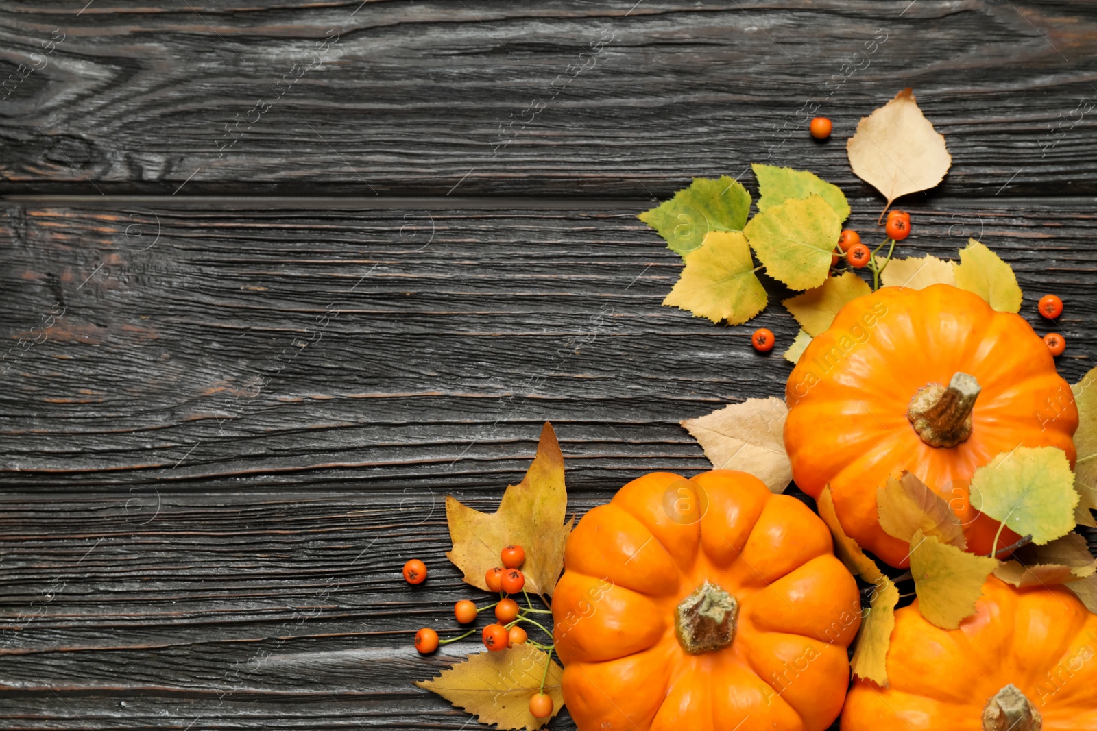 Photo of Flat lay composition with pumpkins and autumn leaves on black wooden table. Space for text