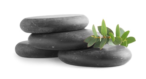 Photo of Stack of black spa stones with eucalyptus isolated on white