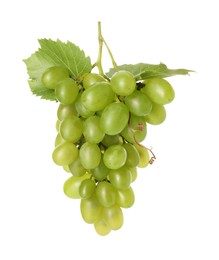 Fresh ripe grapes and leaves isolated on white