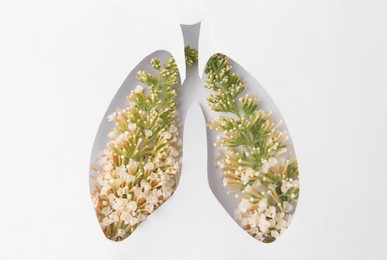 Human lungs shape hole in white paper with beautiful flowers, top view