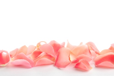 Photo of Beautiful rose petals on white background