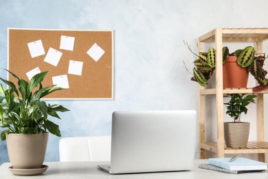 Office interior with houseplants and laptop on table