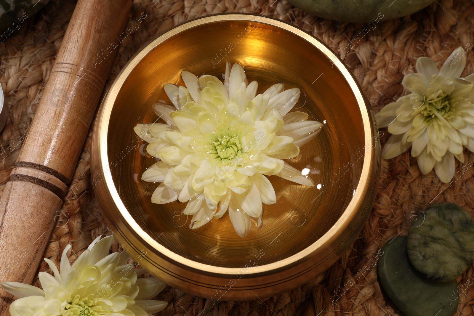 Photo of Tibetan singing bowl with water, beautiful chrysanthemum flowers, mallet and stones on table, flat lay