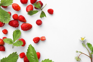 Many fresh wild strawberries, flower and leaves on white background, flat lay. Space for text