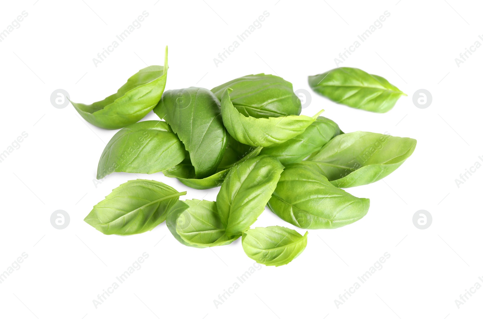 Photo of Fresh green basil leaves isolated on white